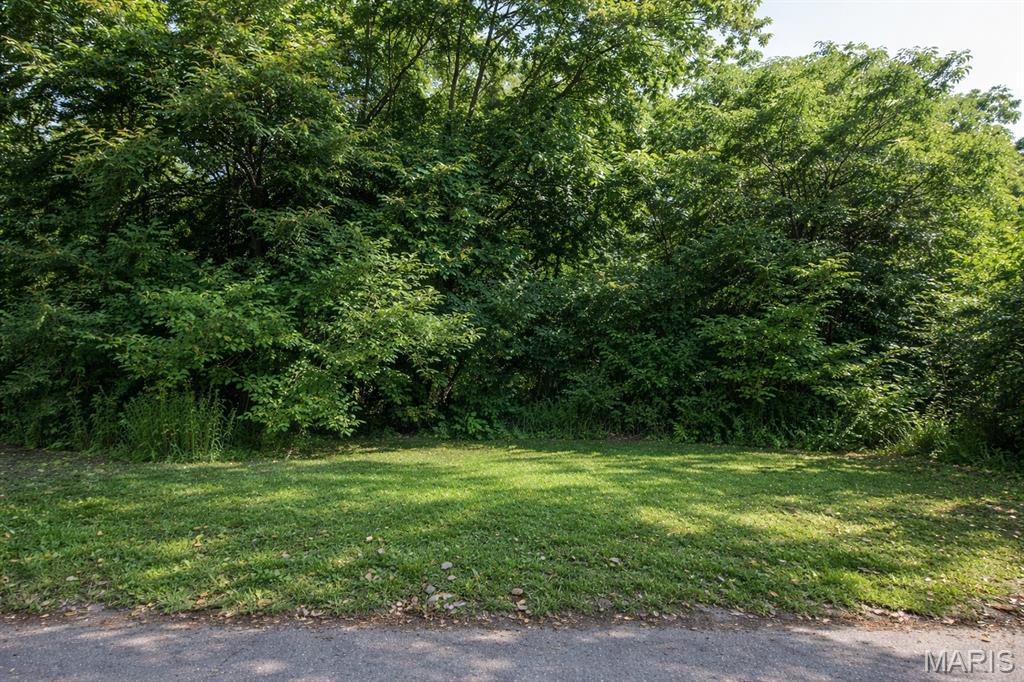 This vacant lot offers endless potential for investors, builders, or buyers ready to bring their vision to life. Offering convenient access to major highways, shopping, public transportation, and downtown St. Louis, with the opportunity to purchase as part of an 8-lot package deal. All properties included in the package are listed in the supplements. Don’t miss your chance to secure multiple parcels in one investment opportunity.