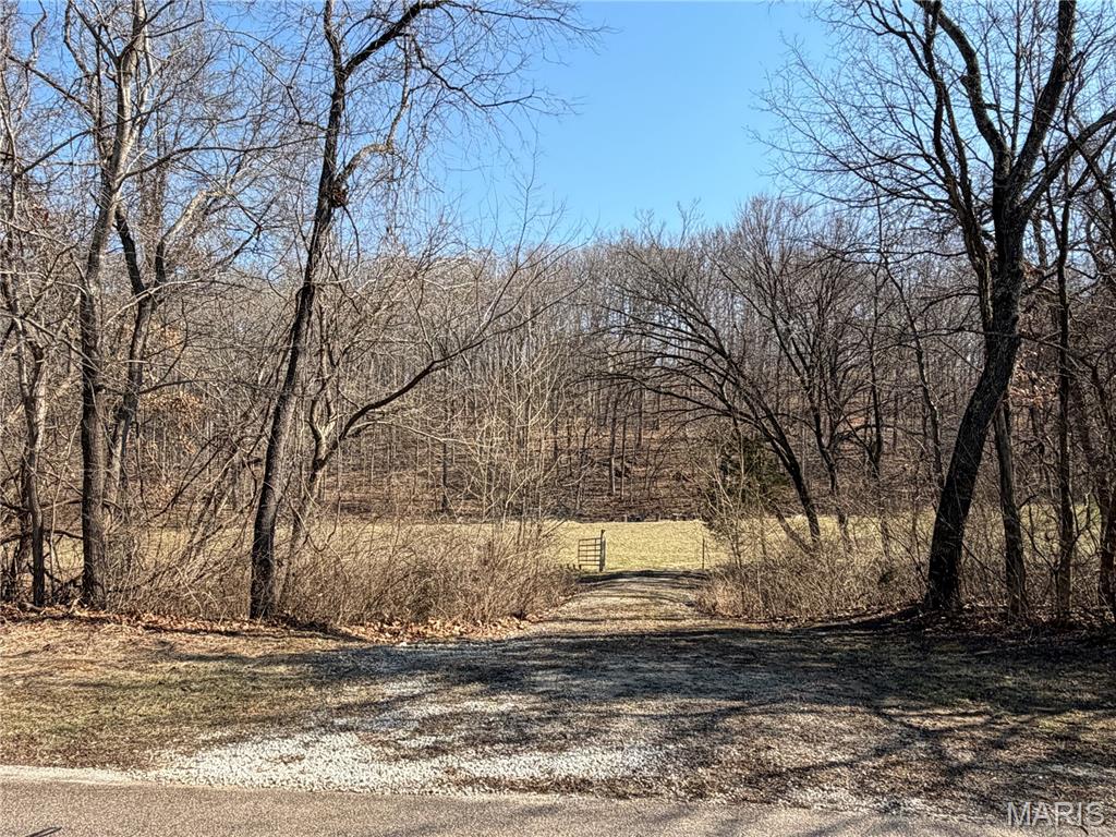 PRICE DROP!!!! Gorgeous 3+ acre lot in the highly sought-after Hencken Valley Estates subdivision! Nestled in scenic Wildwood, this premium property offers the perfect blend of peaceful country living and modern convenience. Enjoy the privacy of mature trees, gently rolling hills, and elegant surrounding homes—all just minutes from Wildwood Town Center, major highways, restaurants, and shopping.
Ideally positioned near the front of the neighborhood, this beautiful lot features a mix of open, wooded, and flat terrain, making construction simple and cost-efficient. A picturesque creek runs along the front of the property, offering a natural buffer and added privacy. Electric service is already present, and fiber internet is available, providing both convenience and modern connectivity.
This sale includes city and county approved home plans, completed surveys, and a professional water well construction estimate, making the property truly ready to build on. Bring your own builder and start your dream home right away!
Hencken Valley Estates is a well-maintained community with recorded association indentures ensuring quality and consistency, including minimum square footage requirements and access to a shared sewer system. The property is also part of the award-winning Rockwood School District.
Fully surveyed, approved, and ready for construction—this exceptional lot offers a rare opportunity to build your dream home in one of Wildwood’s most desirable locations!