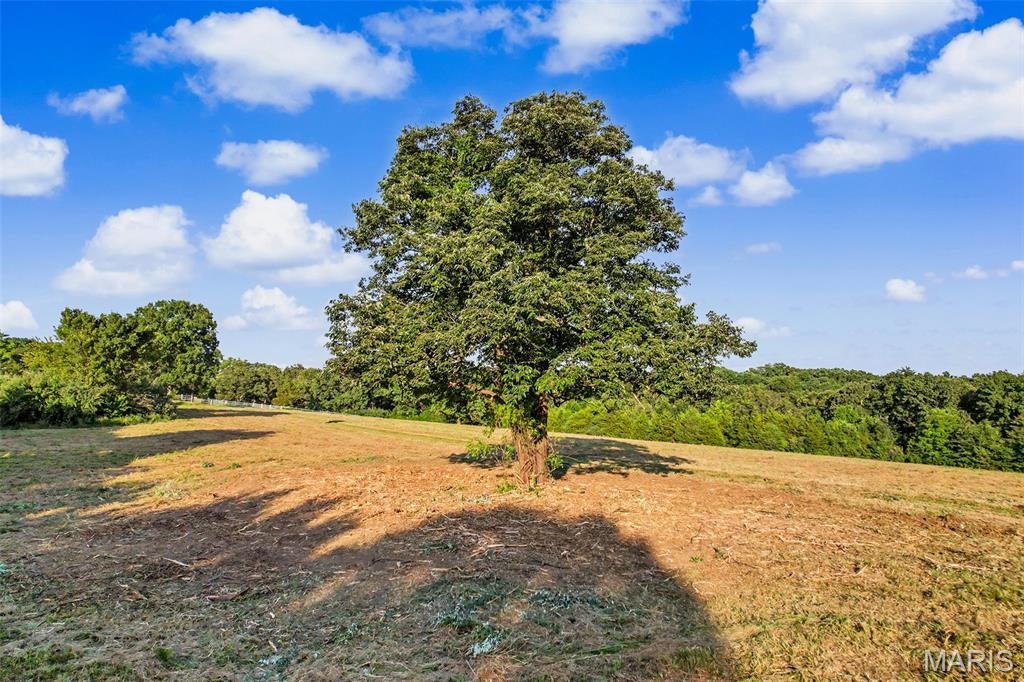 This is a rare Opportunity to Create the Property You’ve Been Dreaming About!  Discover the possibilities on this beautiful, versatile property featuring mostly open pasture with scattered woods, flat terrain, and no HOA.  If you are looking for a working farm, private homestead, hunting retreat, or a place to raise horses, cows, goats, or other livestock, this property offers a truly unique opportunity to make that a reality for you and your family.  Property is cross-fenced and features a quality timber stand, abundant wildlife, and approximately 12–14 acres of hay potential. Recently mulched and brush-hogged.  This land is calling for you!  With easy access to Highway 21 and Highway 67, you'll enjoy the perfect combination of privacy, usable acreage, and convenient access.  Again VERY RARE.  An old barn sits near the edge of the property. While no longer in use, it adds character and offers potential for creative projects, reclaimed barn wood, or even a unique wildlife sanctuary.  Come and take a look and begin your next chapter!