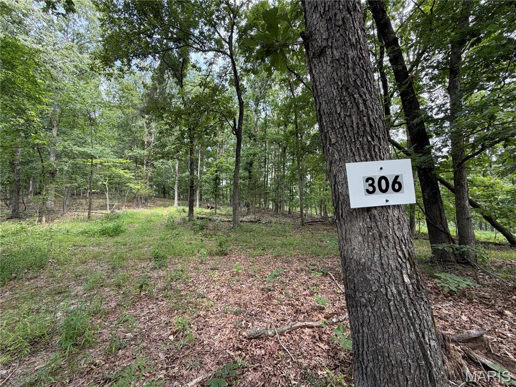 Discover the beauty, freedom, and tranquility of the Missouri Ozarks with these exceptional land offerings located south of Fredericktown, just off Highway 67 and near the Mark Twain National Forest. With multiple tracts and a variety of acreage options available, there is an opportunity to find the perfect piece of land to fit your vision. The nearby Mark Twain National Forest offers more than 22,000 acres of public land to explore, adding even more opportunity for outdoor adventure and recreation.
Many of these affordable wooded pieces offer beautiful natural surroundings, with select tracts featuring creek access, springs, and scenic views of the surrounding Ozark landscape. With no restrictions, you have the freedom to enjoy your property your way—whether that means hunting, primitive camping, building, riding ATVs, or simply finding a peaceful place to escape the pressures of everyday life. These tracts also offer access via a deeded easement gravel road leading from the county road to the property, while nearby Twelve Mile Creek provides additional opportunities to fish, explore, and enjoy the outdoors.
This is your chance to unplug, reconnect with nature, and enjoy the freedom and beauty of the great outdoors in Southeast Missouri. Whether you're searching for a private hunting retreat, a weekend getaway, a place to camp and explore, or land to create your own outdoor escape, there are many amazing tracts to choose from. Call today for more information and to explore the available options!