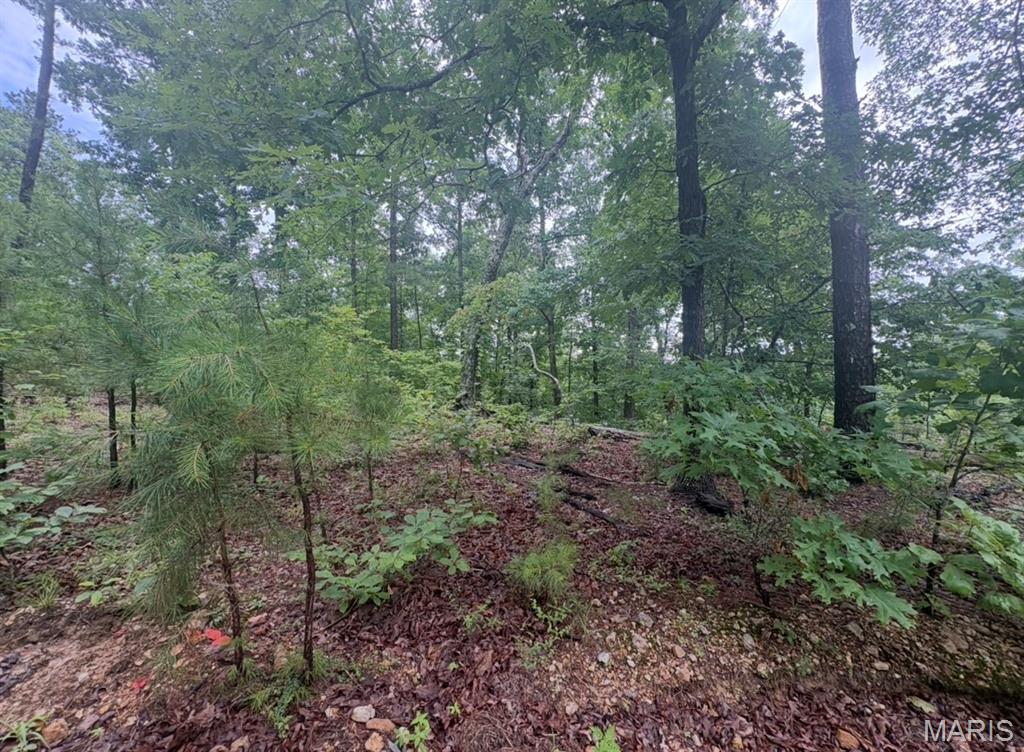 80 acres m/l of wooded premier hunting ground. This secluded property is also ideal for camping and great area for side-by-side riding. See nature at its best with this prime recreational property. Enjoy nearby Sinking Creek and the beautiful Black River. No utilities.