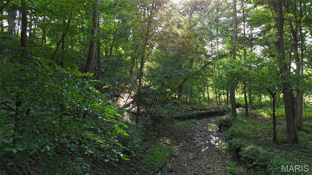 Longview Acres - Land