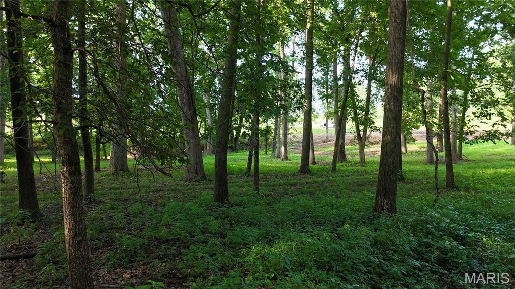 Longview Acres - Land