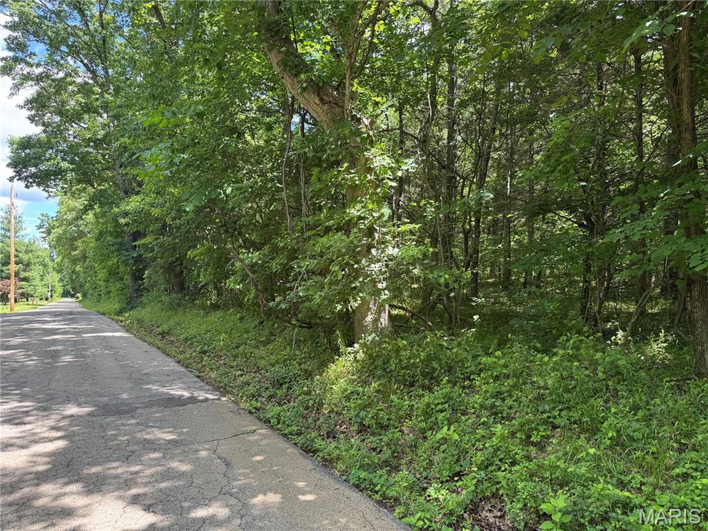 34 acres of wooded beauty offering endless possibilities! This scenic property features approximately 120 feet of elevation change, rising from the base of the property to a level ridge top that could make an excellent homesite. Covered in mature timber with natural rock outcroppings throughout, the land provides privacy, character, and abundant wildlife. Whether you're looking for a prime hunting tract, a recreational getaway, or the perfect place to build your forever home, this 34 acre parcel offers the best of both worlds; seclusion and potential. Enjoy the peace and beauty of nature while creating your own private retreat.