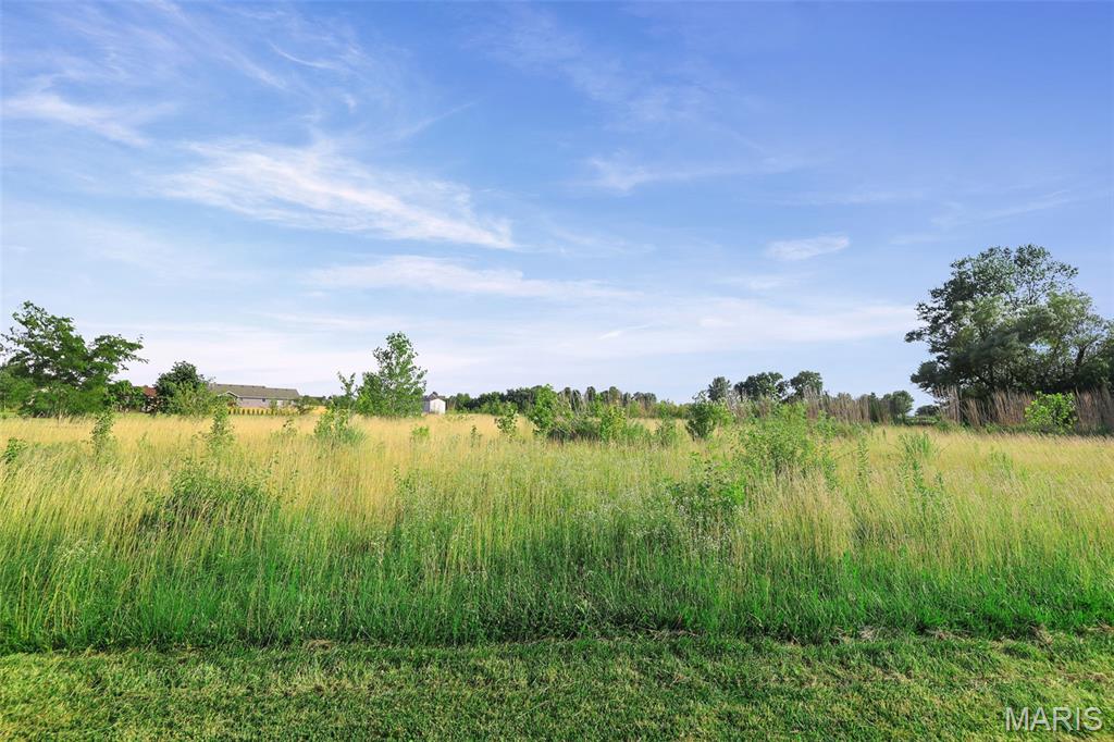 Discover the possibilities with this 2-acre vacant parcel in the Edwardsville School District. Offering a peaceful setting and ample space, this property is ready for your vision. Don't miss this opportunity to build the home you've always imagined. For even more possibilities, the adjacent property at 9714 Hosto Road is also available for purchase and includes a beautifully updated 3-bedroom, 2-bath home on an additional 2 acres. Purchase one or both for a total of 4 acres!