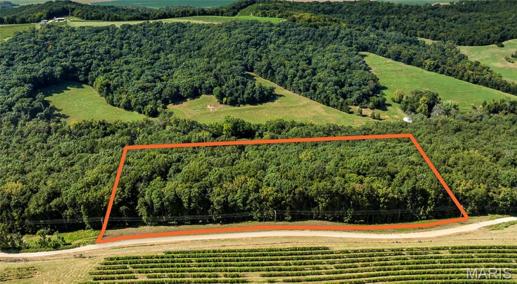 Escape to your own private slice of the Missouri countryside with this beautiful 7 +/- acre wooded tract located just outside Hermann. Whether you're looking for a recreational retreat, hunting property, or weekend getaway, this property offers the kind of natural setting that is becoming increasingly hard to find.
The land is beautifully wooded with mature timber, incredible natural rock outcroppings, and abundant wildlife throughout. Deer and turkey signs are plentiful, making this an exceptional little recreational tract with excellent potential for hunting and wildlife observation. 
Road frontage runs along the entirety of the south side of the property, with electric lines readily available at the road. Located just south of Gasconade, you'll have easy access to the Gasconade River and a short drive into Hermann’s wine country, restaurants, shopping—while still enjoying the privacy and tranquility of your own wooded retreat. 
If you've been looking for a small acreage property with big recreational appeal, abundant wildlife, mature timber, and incredible natural character, this 7 +/- acre tract deserves a look.