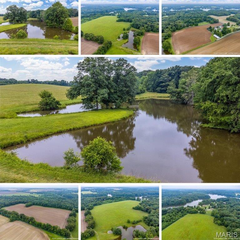 Here's your chance to own 92.99 +/- acres located just north of the Greenville County Club on East lake Dr. Start/Expand your farming operation or build your dream home on this beautiful rolling topography! Consisting of 25.70 acres of timber with marketable ($20k-$25K est. per logger) White Oak, 12.22 acres currently in corn, includes a 37' x 75' Pole Barn and a 2 ac. (appx.) stocked lake, 22.10 acres currently in beans and 32.97 acres of timber and tillable. Any use other than Ag will need to be confirmed with Bond County Zoning. Tenant shall have the right to harvest 2026 crop income.