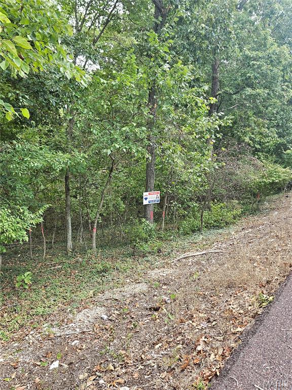 Beautiful 2.97-acre wooded tract in De Soto, Missouri! This property offers a peaceful, natural setting filled with mature trees and backs up to Lake Wauwanoka, and across the road from Lone Pilgrim Primitive Baptist Church. The property has been enjoyed by the family for many years and has provided a wonderful setting for hunting and outdoor recreation. A brand-new survey dated September 2, 2026, is available, with newly placed property pins that are easy to locate and see. If you're looking for acreage, privacy and the opportunity to enjoy the outdoors, this wooded property is worth exploring. Conveniently located in the De Soto area, it offers a quiet setting while remaining close to local amenities. Come take a look and discover the possibilities this property has to offer!