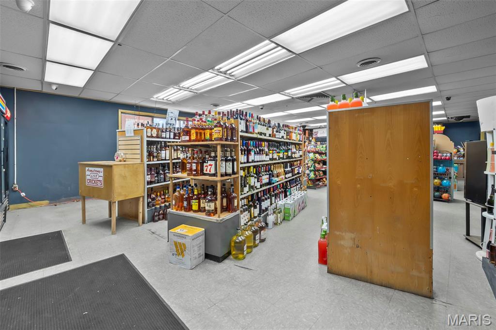 Salmon - Commercial Sale