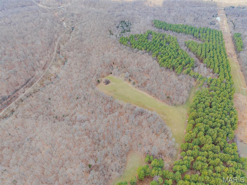 Burnside - Farm