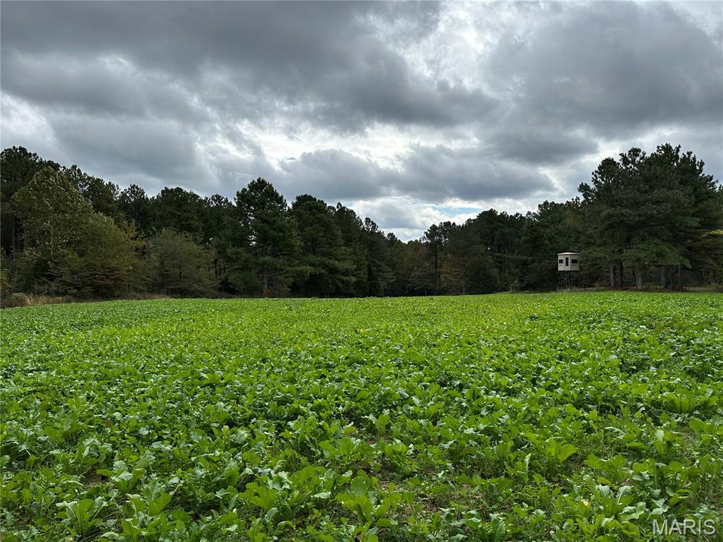 Burnside - Farm