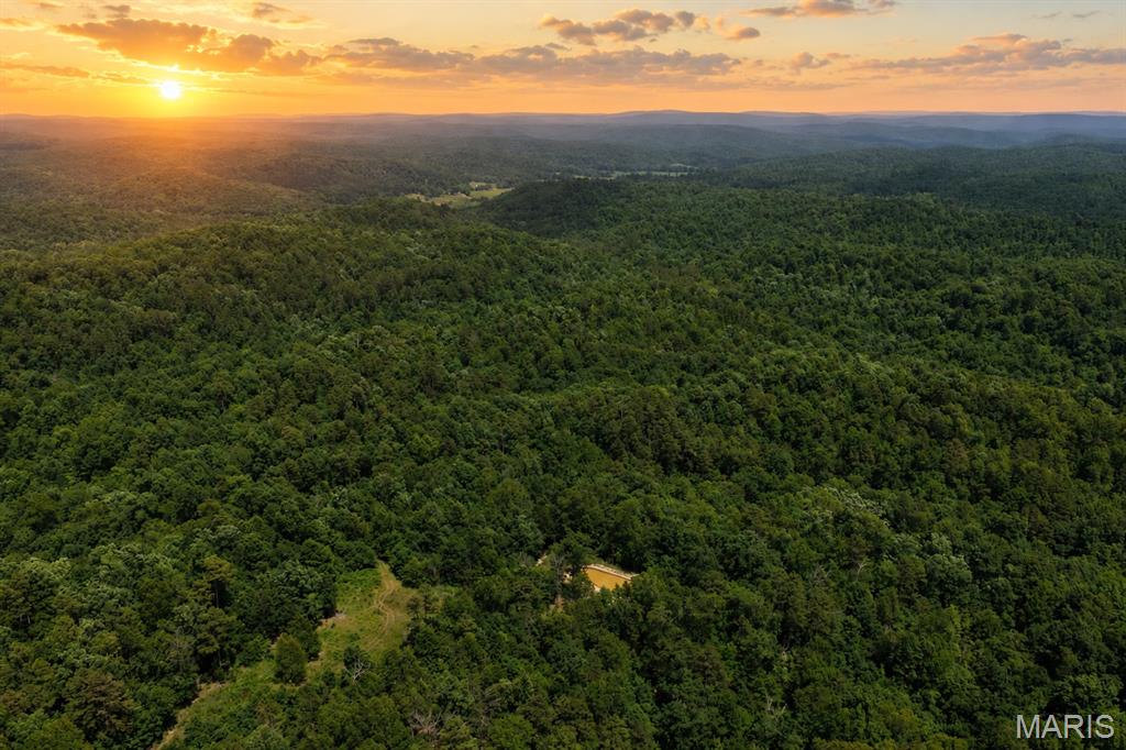 This excellent hunting property is located just southeast of Viburnum, along Highway 49. As you enter the property, you are greeted with an opening overlooking the pond that would be an ideal build site or food plot location. Electric is nearby, and the only thing missing is your dream home or weekend getaway cabin. The property has a great trail system, perfect for trail riding and accessing your favorite hunting spots. If this is not enough acreage to get the job done on a mature whitetail or turkey, Mark Twain National Forest adjoins the property on the north side, making the hunting opportunities endless. A creek flows through the middle of the property, providing water to the abundant amount of wildlife in the area. If you are looking for a property that has a mix of it all, with endless possibilities, then this is a must-see! Call today to schedule your own private tour.