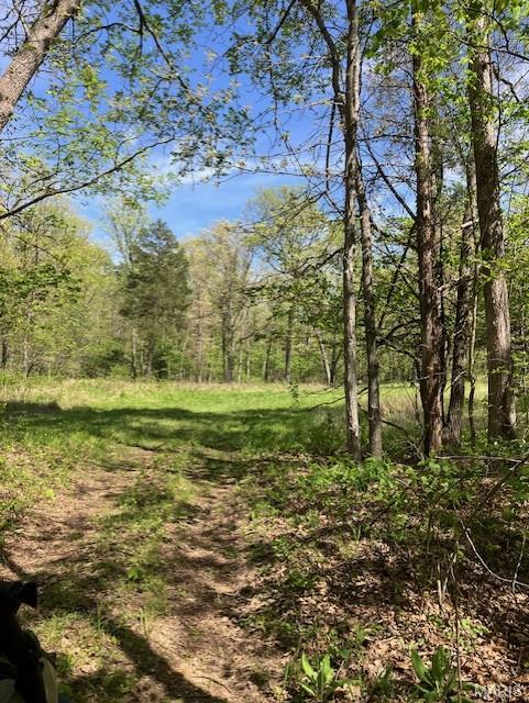 How would you like to own 45 acres of woods with a spring-fed stream running through it only an hour from St. Louis and about four miles from the nearest town with restaurants and shopping? This is it!
This would make a great place to build a home, build a weekend cabin, or just clear a campsite. The land is gently rolling but has plenty of flat areas to build.
Once you leave the blacktop you can be at the property in a minute or two. And the deeded access road is graveled and wide. 
These escapes this close to the city are rare. Use it as a rural living site, a weekend and holiday getaway, or a place to escape to far away from the chaotic city.
And there are larger pieces bordering this one if you want more acres.
