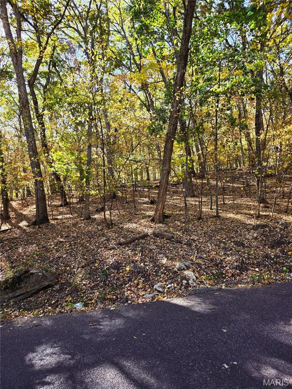 Lake Sherwood Estates - Land