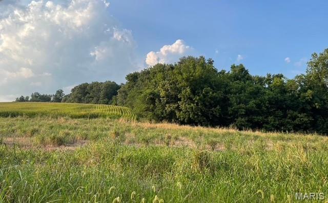 vacant land - Land