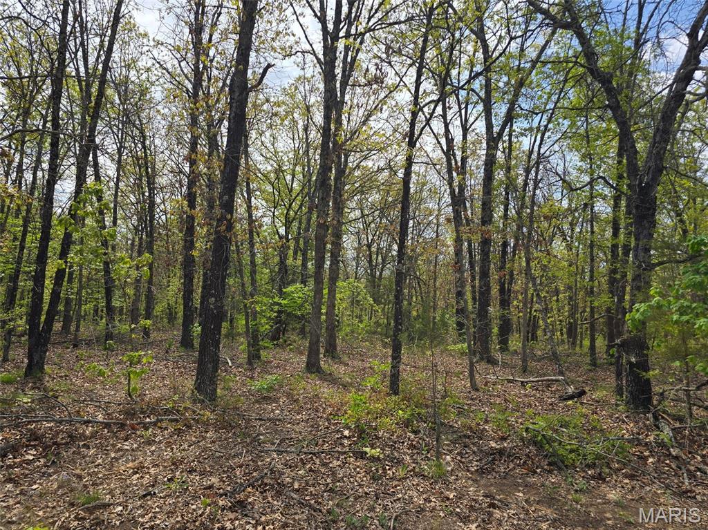 Greatview Addition - Land