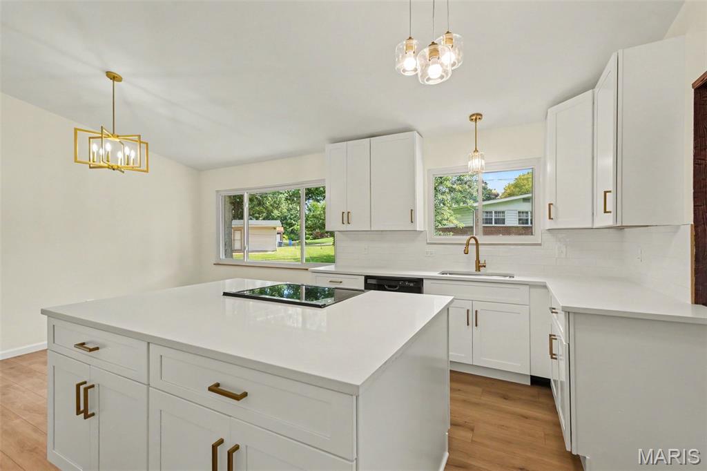 Paddock Hills 5 - Residential