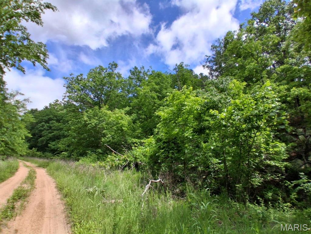 11.91 wooded acres in Texas County with electric available and road frontage for easy access. This private tract offers a beautiful mix of mature timber and natural landscape, making it ideal for a homesite, hunting retreat, weekend getaway, or recreational use. Plenty of room to explore, build, or simply enjoy the peaceful surroundings. Conveniently located while still offering the quiet feel of the country. A great opportunity to own usable acreage with utilities and access already in place.