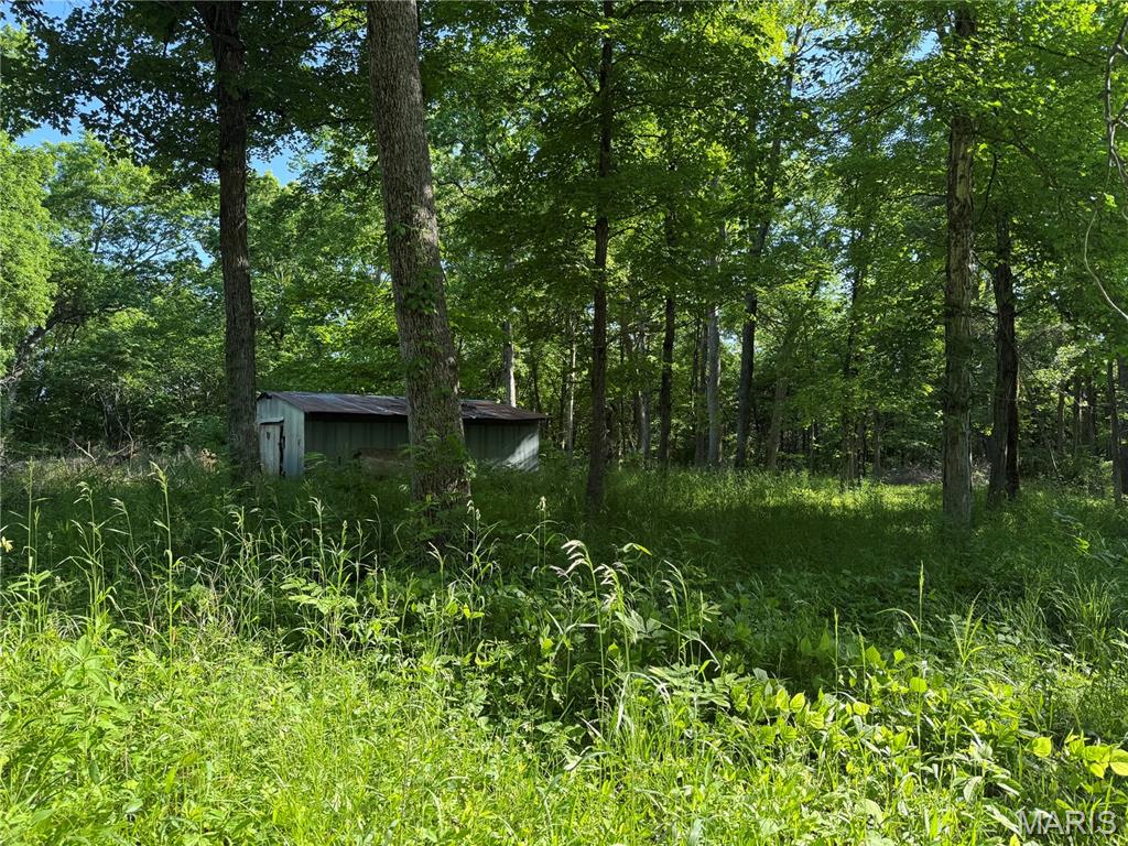 Rustic Acres - Land
