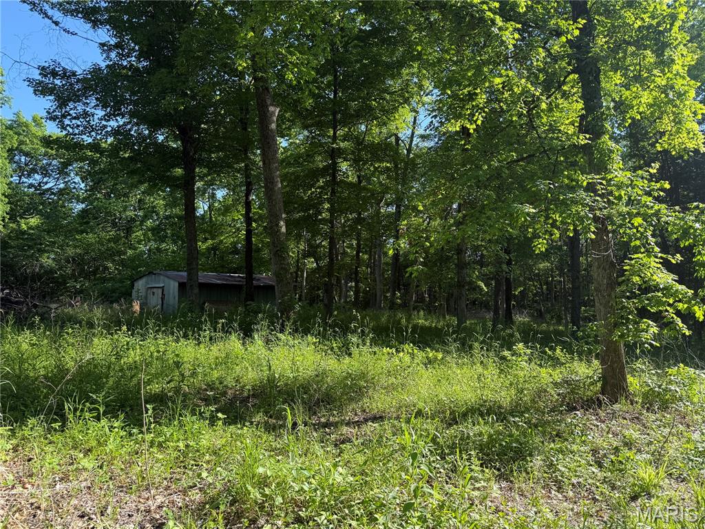Rustic Acres - Land
