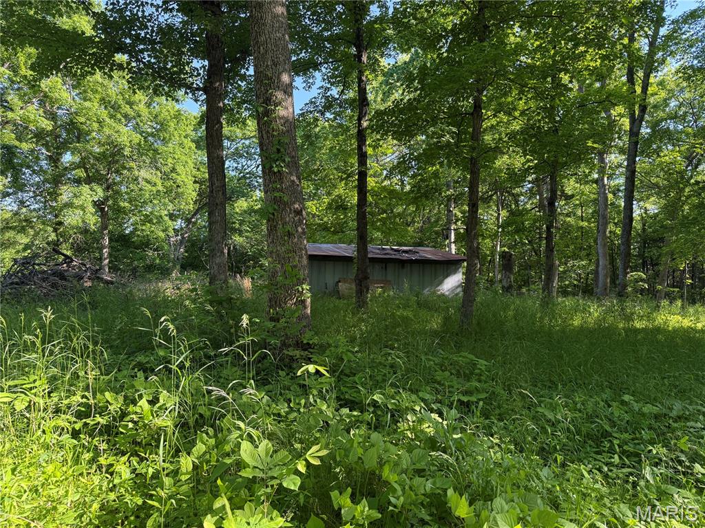 Rustic Acres - Land