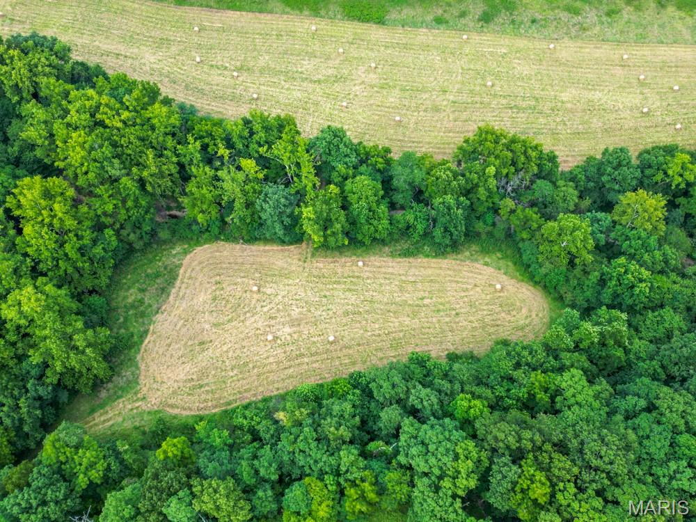 other/rural - Farm