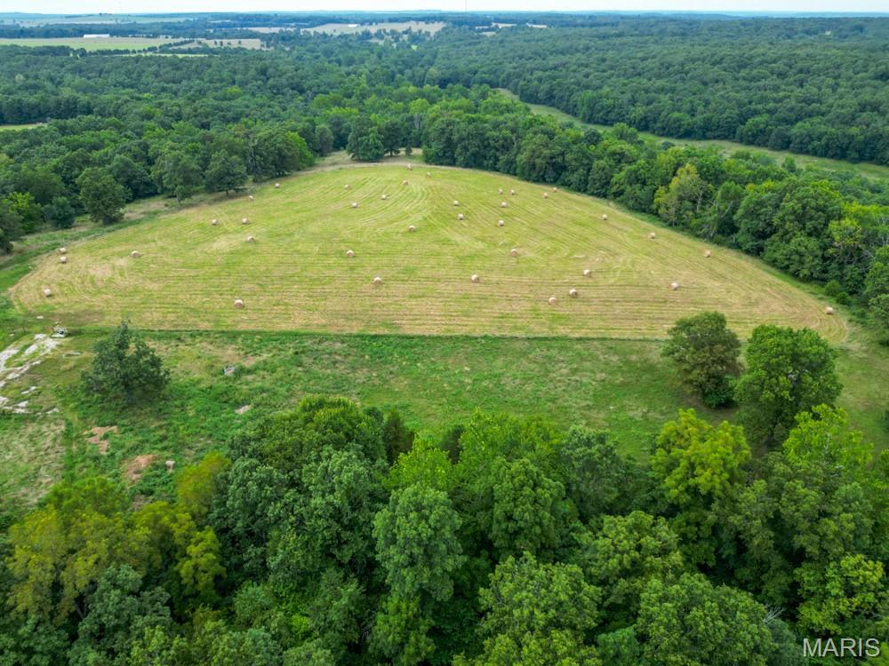 other/rural - Farm