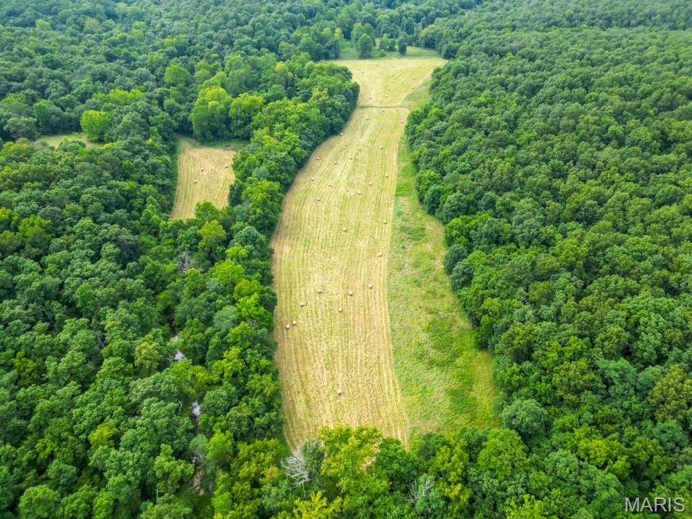 other/rural - Farm