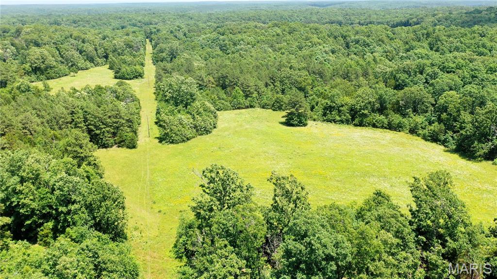 Escape city life and reconnect with nature on this 80 acre parcel, mostly wooded and located in Dent County, Missouri. This property offers a good mix of woods and some open areas. There are established food plots and a pond making it perfect for hunting or wildlife viewing. Some ATV trails. Bordered by two sides of county road with two gated entrances and property is perimeter fenced. Plus, a utility right-of-way runs through the property, complete with a meter base pole that just needs a new meter installed. Perfect for building a cabin or your dream home.  This property is conveniently located to all that the Salem, Missouri area has to offer. Mark Twain National forest is within a couple of miles from this property if you need more hunting ground. The famous Current River, Echo Bluff State Park, Current River State Park, Montauk State Park are all within a short driving distance where you can enjoy canoeing, kayaking and trout fishing. Contact us today for a private tour!