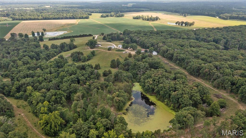 WILLIAMSBURG - Farm