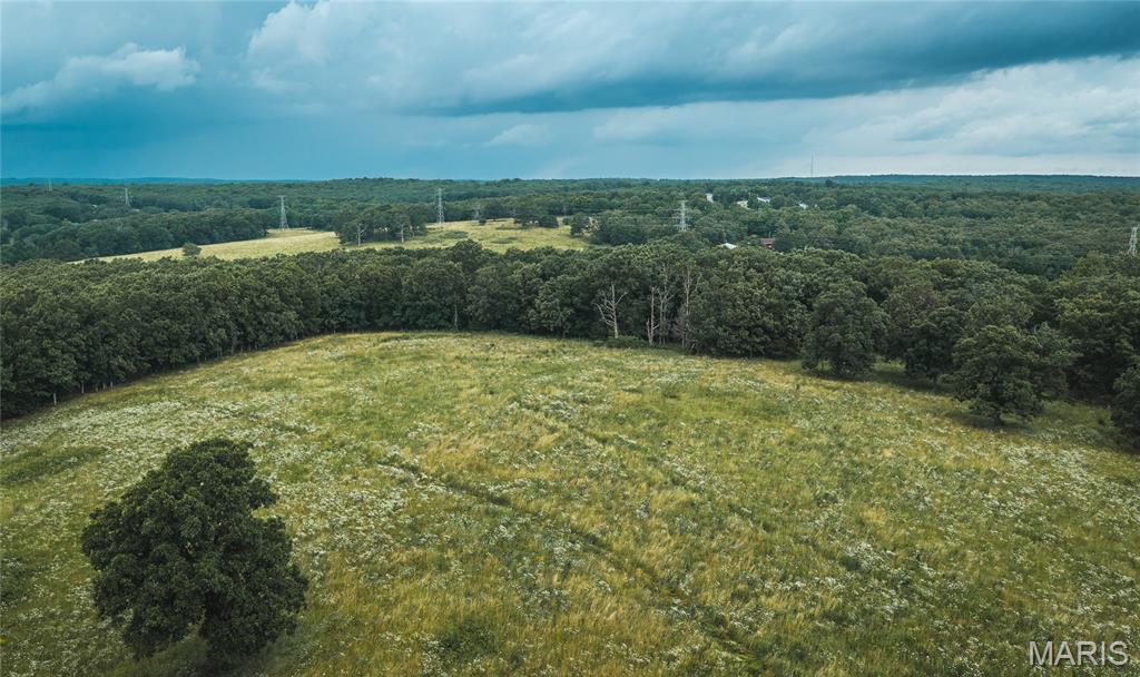 Discover the perfect blend of open pasture and natural beauty with this 20 +/- acre tract just outside Dixon, Missouri. Featuring gently rolling pasture with scattered mature trees, this versatile property is ideal for a future homesite, hobby farm, or weekend getaway. A small pond provides a reliable water source for wildlife and adds to the property's scenic appeal. With an abundance of whitetail deer and wild turkey, outdoor enthusiasts will appreciate the excellent hunting and recreational opportunities. Whether you're looking to build, raise livestock, or simply enjoy the peace and quiet of the Ozarks, this property offers endless potential in a beautiful rural setting.