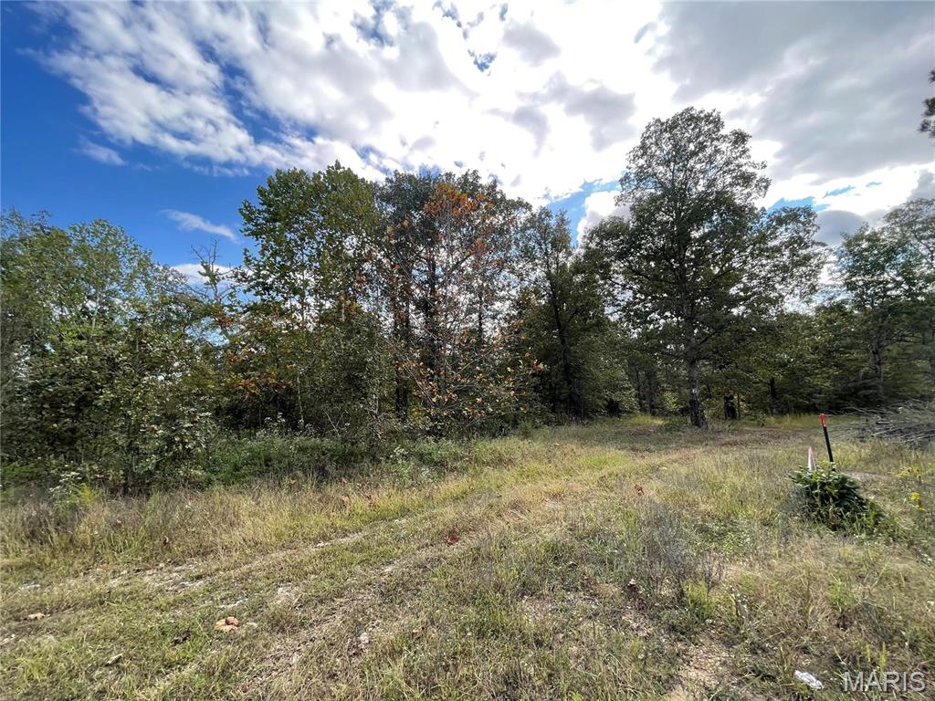 Woodland Heights Subdivision:  Now is your opportunity to build on this beautiful lot just minutes from Poplar Bluff, MO in scenic wooded area.  Lots range from 4.7 - 5 acres m/l.
