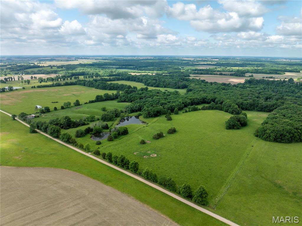 N - Farm