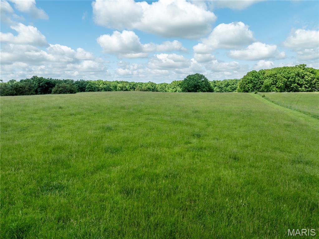 N - Farm