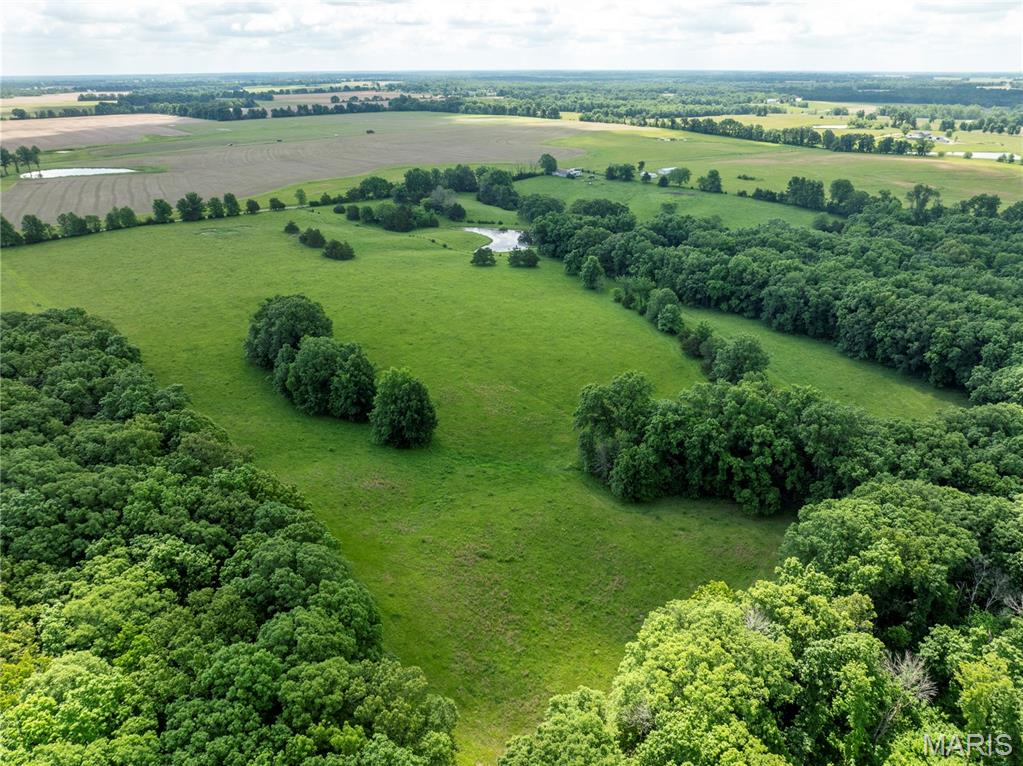 N - Farm