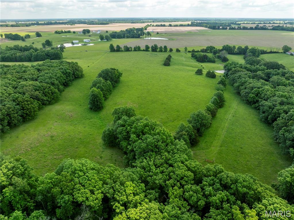 N - Farm