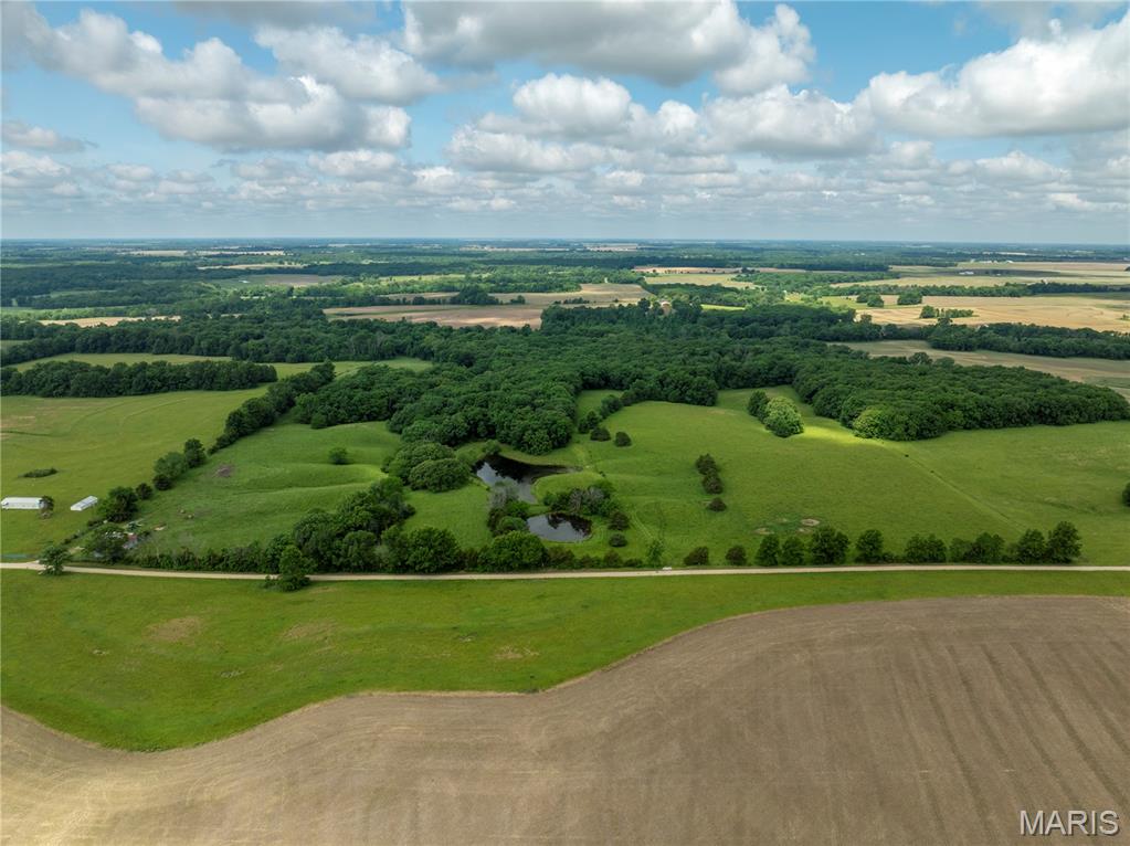 N - Farm