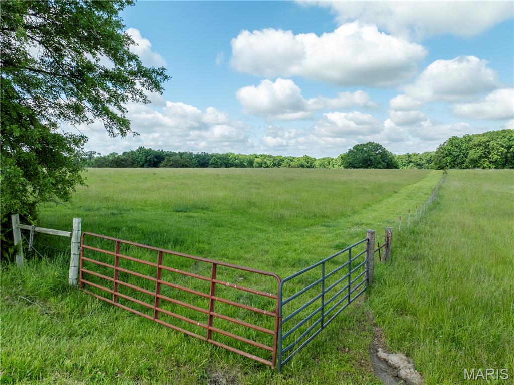 N - Farm