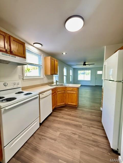 Berkley Garden Homesites - Residential