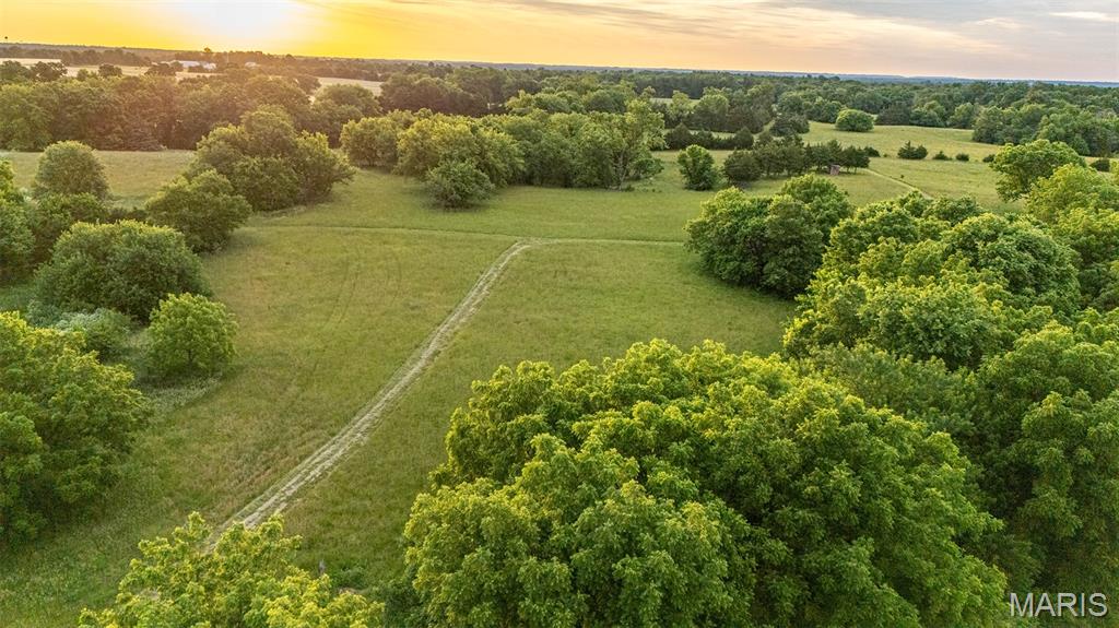 This 41±-acre property features a gated entrance and an excellent blend of open pasture and mature timber, offering versatility for livestock, recreation, or a future home site. With abundant wildlife and diverse habitat, it presents outstanding hunting opportunities and the perfect setting for a private rural retreat.

The development potential is exceptional. With county road frontage and utilities running along the north boundary, a new owner has multiple options for building, dividing, or customizing the farm to fit their vision. Properties of this size are becoming increasingly hard to find in Ralls County—don’t miss your opportunity to own this versatile and highly desirable tract.