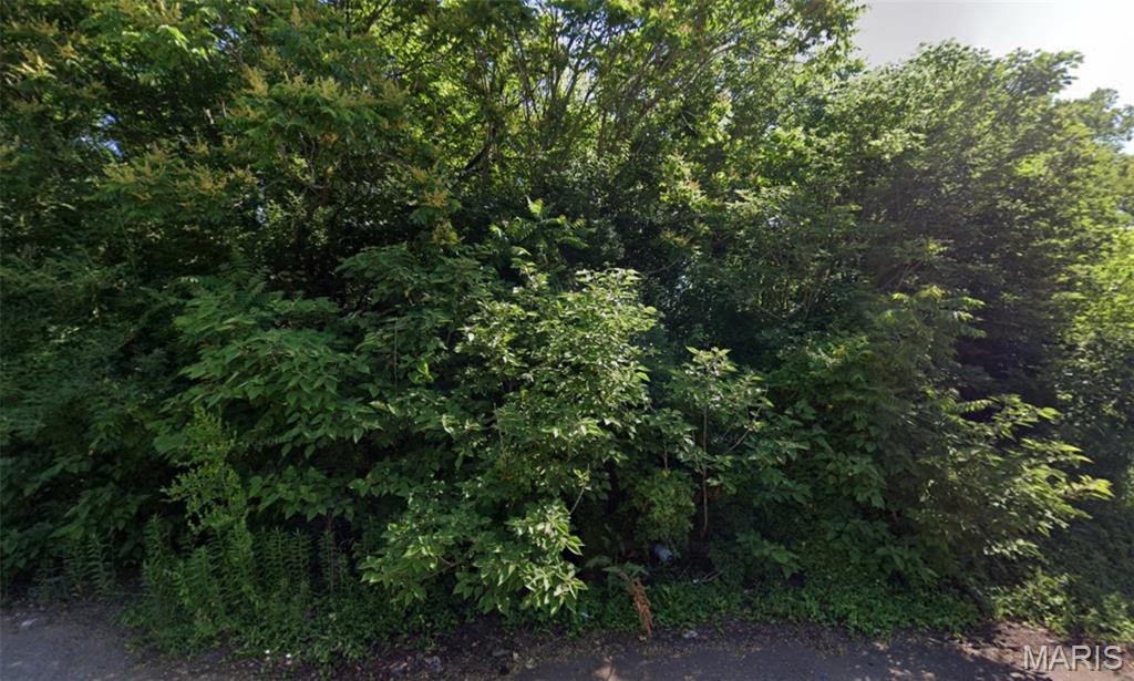 This vacant lot offers endless potential for investors, builders, or buyers ready to bring their vision to life. Offering convenient access to major highways, shopping, public transportation, and downtown St. Louis, with the opportunity to purchase as part of an 8-lot package deal. All properties included in the package are listed in the supplements. Don’t miss your chance to secure multiple parcels in one investment opportunity.