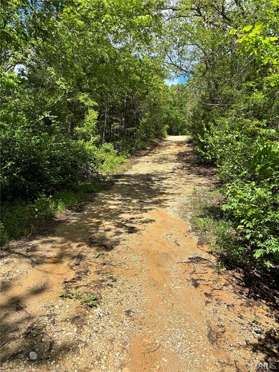 Tucked away just outside Foristell, this 1.88-acre wooded tract offers the kind of setting people spend years trying to find…quiet, private, and still within minutes of everything that matters.

Build your dream home exactly how you want it. No subdivision restrictions. No HOA telling you what color your shutters need to be. Just your land, your vision, your timeline.

The property is surrounded by a stretch of well-kept, attractive homes, giving you confidence in your investment while still maintaining that “out in the country” feel. It’s the best of both worlds…peaceful mornings with coffee under the trees, and quick access to shopping, dining, and daily conveniences in nearby Wright City.

Commuting? Easy. With fast access to Interstate 70, you can be on the road and headed wherever you need to go in just minutes.

If you’ve been waiting for a place that feels like an escape—but doesn’t isolate you—this is it.

Land like this doesn’t sit still for long. Come walk it and see why.