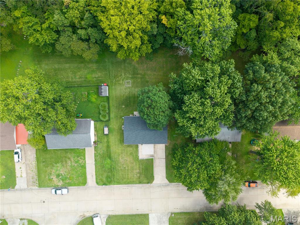 Little Schumer - Residential