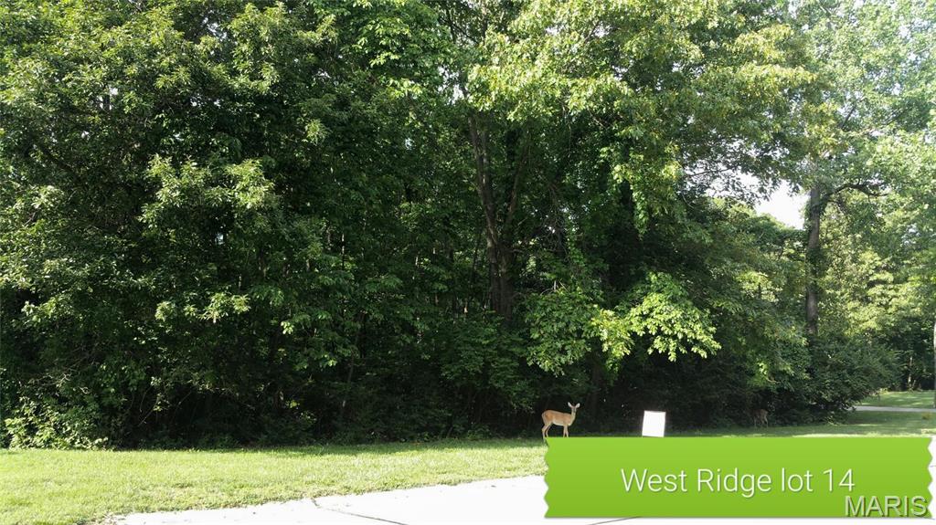 WEST RIDGE AT  THE PALISADES - Land
