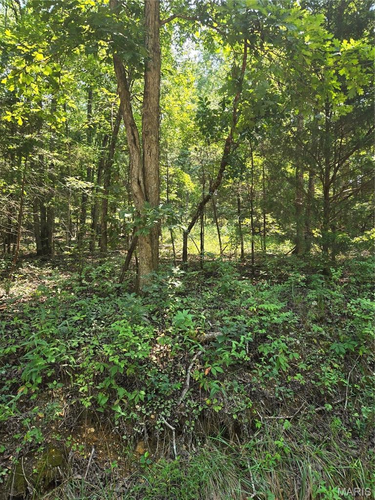 10.704 Acres m/l with National Forest Border! This gently sloping property offers a great opportunity to enjoy the peace and privacy of the Ozarks. The property features county road frontage, an established driveway, and electricity available, with power lines running across the property. The east side borders National Forest, providing direct access to additional recreational land and an abundance of wildlife. Whether you're looking to build, establish a weekend retreat, enjoy hunting and outdoor recreation, or simply own a piece of the countryside, this property is ready for your vision. Just minutes from the scenic Jacks Fork and Current Rivers. Endless opportunities for floating, hiking, horseback riding, and so much more. Don't miss the opportunity to make this beautiful acreage your own!