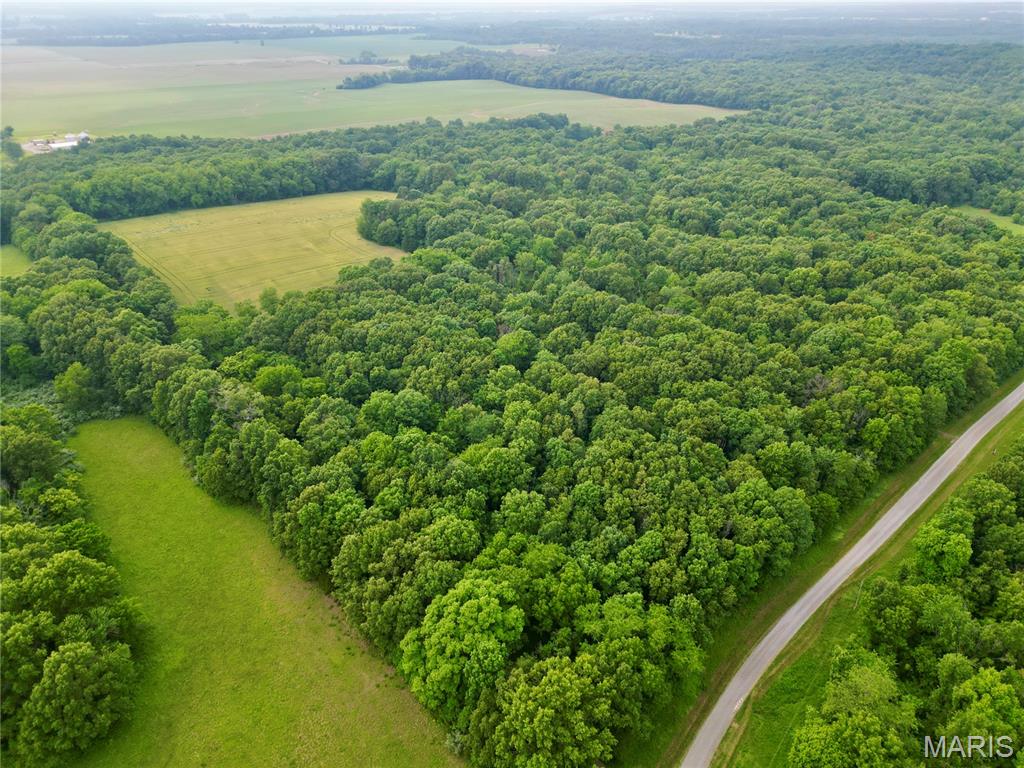 A rare offering: 40 secluded acres of mixed hardwood timber and tillable land in Hamilton County, ideal for hunters, outdoorsmen, and anyone seeking a private rural retreat. The property features mature oaks, hickory, walnut, cedar and other hardwoods that create excellent cover and mast production, drawing big bucks and abundant wildlife. Approximately 5.5 acres of tillable ground can provide income or food-plot opportunities, while the remaining acreage is a diverse mix of timber, natural travel corridors and secluded pockets perfect for stand placement. The area is known for its outstanding big buck genetics. There is a lot of habitat in the area with several like minded individuals managing for big deer. This offering is rare, so scoop it up while you can!