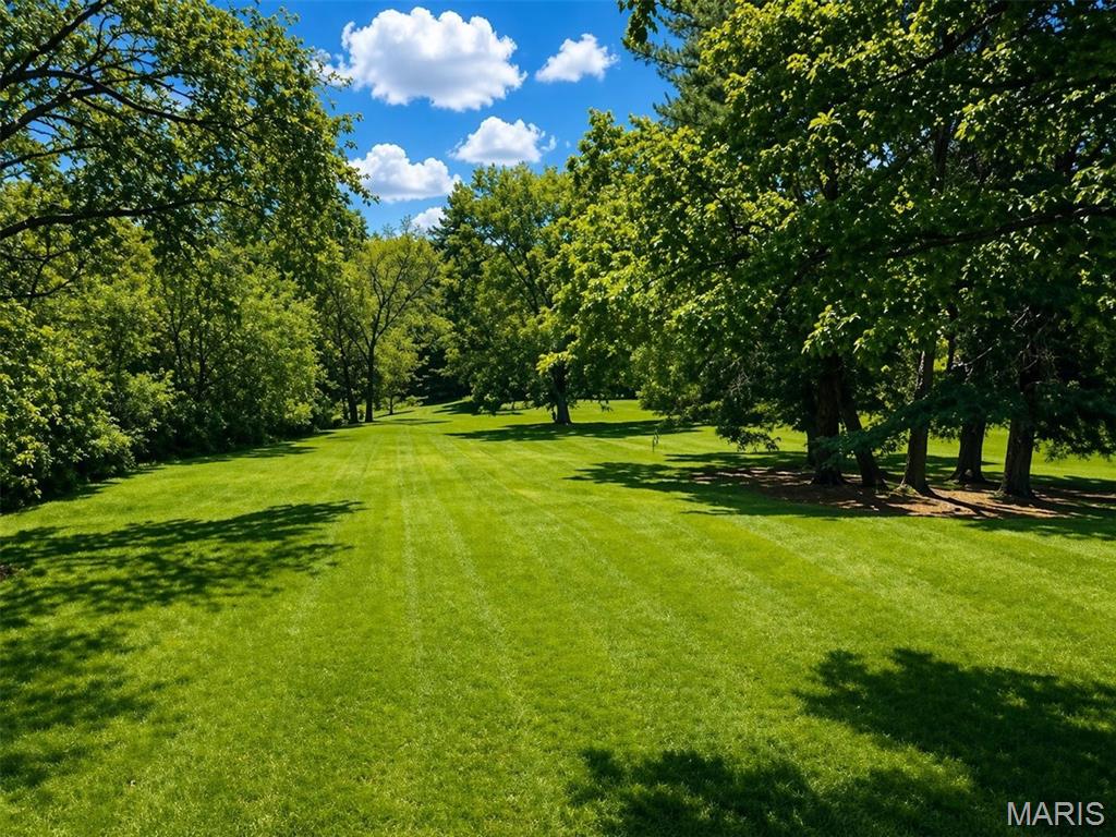 Denny Lane - Land