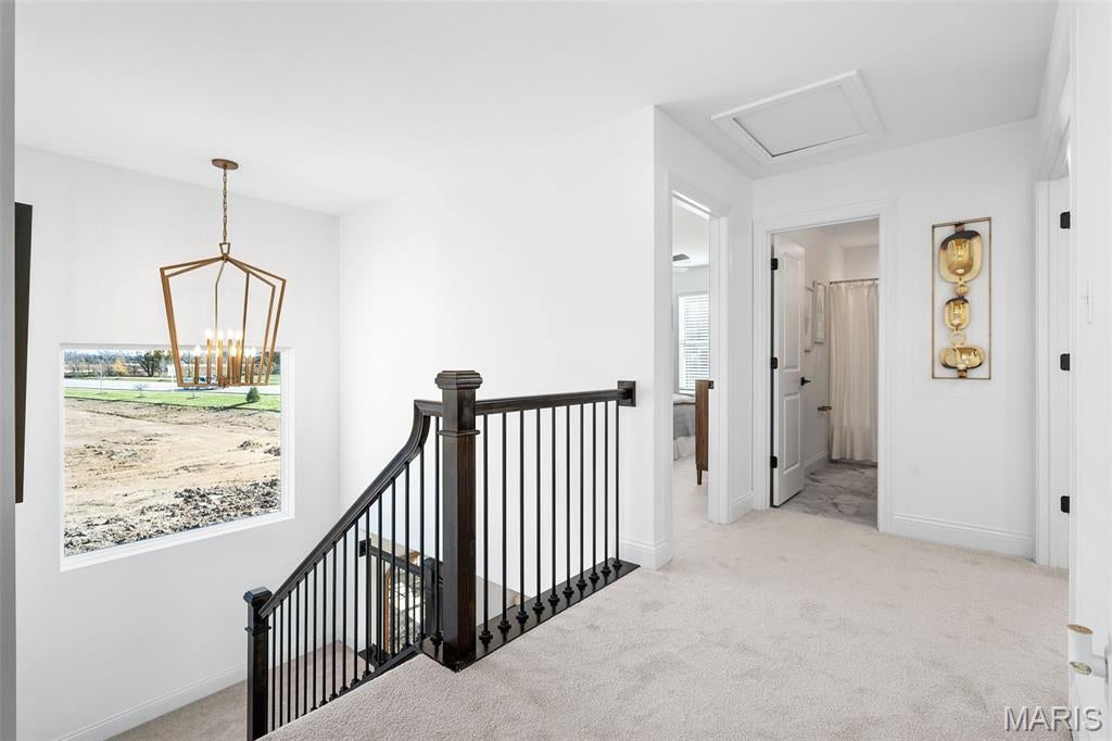 Walnut Hills - Residential