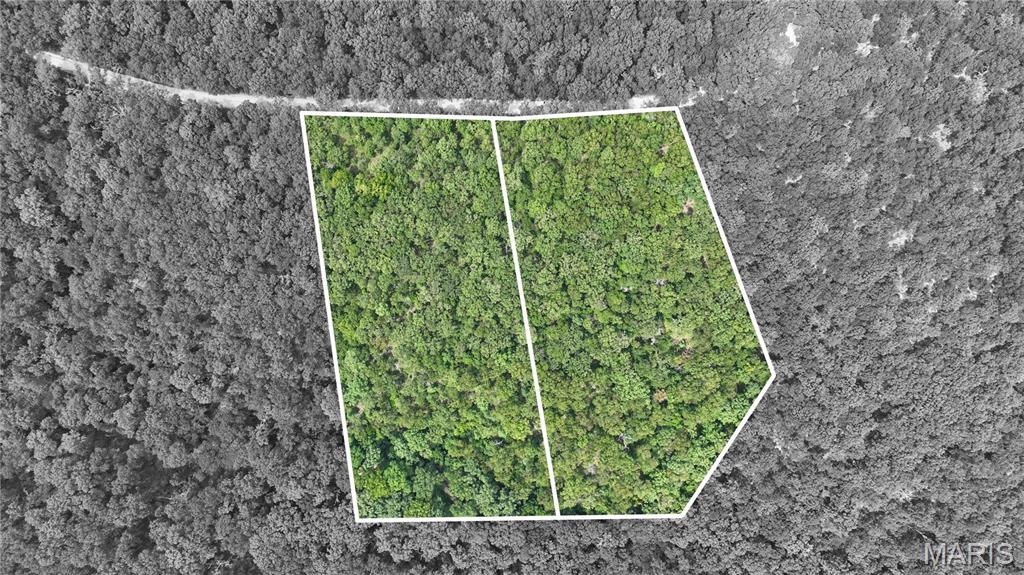 Discover 7.7± wooded acres in Forbes Lake of the Ozarks Park in Edwards, Missouri! Consisting of two adjoining parcels being sold together, this property offers a peaceful Ozarks setting with plenty of room to enjoy nature, plan for a future homesite, or create your own lake-area getaway, subject to community restrictions and applicable approvals.

Ownership in Forbes provides access to community amenities including private lakes, Lake of the Ozarks boat ramps, a gun range, and additional recreational opportunities. Enjoy the privacy of your own wooded acreage while taking advantage of the outdoor lifestyle this established gated community has to offer.

Whether you're looking for a future homesite, weekend escape, recreational property, or land investment, these two adjoining parcels provide 7.7± acres of wooded Missouri land with the added benefit of Forbes community amenities. Bring your plans and explore the possibilities!

Property Highlights
7.7± total acres
Two adjoining parcels being sold together
Located in Forbes Lake of the Ozarks Park
Wooded acreage with mature trees
Private, peaceful Ozarks setting
Community access to private lakes
Lake of the Ozarks boat ramp access
Community gun range
Gated community
Future homesite potential*
Recreational and weekend-getaway potential*
Located in Edwards, Benton County, Missouri
Parcels: 166023000003039000 & 166023000003038000