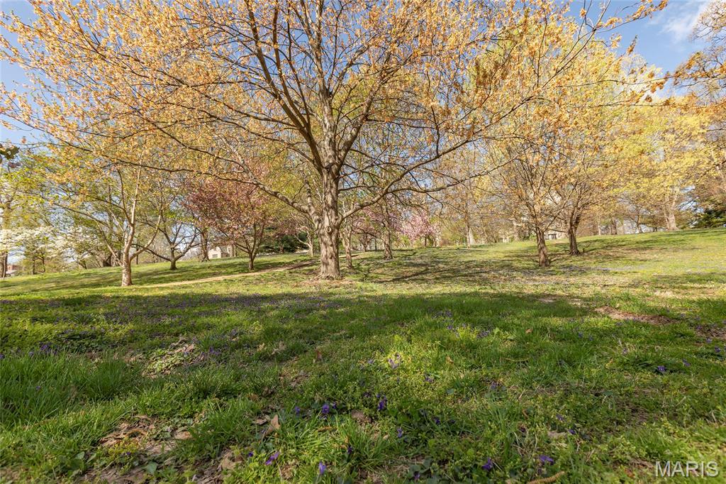6300 Northwood Condo - Residential